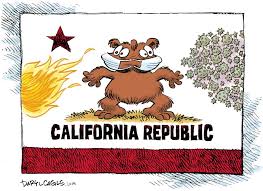 CALIFORNIA.REPUBLIC.2021.jpg