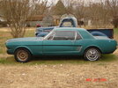 mustang pics 012.jpg