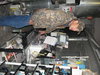 Kristens truck 015.jpg