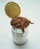 407643-can_of_worms.jpg