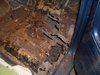 CIMG0567_1.JPG