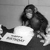 Happy-Birthday-Chimp-Note-Card-C11765288.jpg