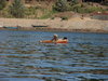 Div.bilder 2013 084.jpg
