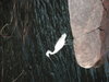 Div.bilder 2013 128.jpg