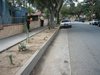cactus at  Pasadena 014.jpg
