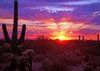 tucson sunset.jpg