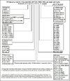 GMT400VINCARD.jpg