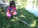 P1010013.jpg