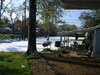 snow dec 2008 053.jpg