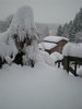 DSCN1015.JPG