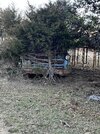IMG_0720.jpeg