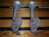 2009 0221 horns 001.jpg