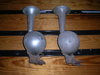 2009 0221 horns 003.jpg
