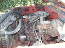 SDC10202.jpg