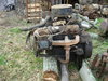 Stormy, Farmall M, Snow pics 114.JPG