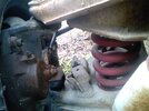 Tony's phone pics 130.jpg