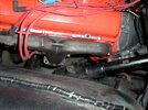 P1010003.jpg