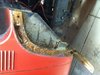 rust out on passenger side #3.jpg