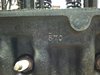 ID number on side of head.jpg