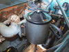 1954 Chevy Truck 035.jpg