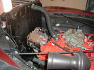 P1010007.jpg