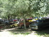 Brothers Truck Show Seven, ten, eleven 078.jpg