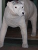 Patrole bear watching the door step 001.jpg