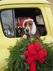 Christmas Card 2012 045.JPG