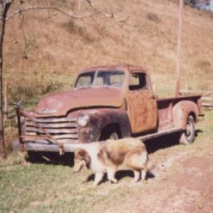 1948 Chevy 3800 in the beginning