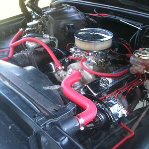 photo_8