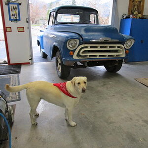 101  JUST PUSHED VALERE (TRUCKS NAME) OFF THE LIFT TO REMOVE THE DOG HOUSE-- MOLLY IS THE SHOP DOG